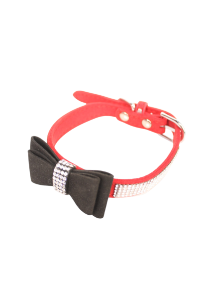 Cat Collars
