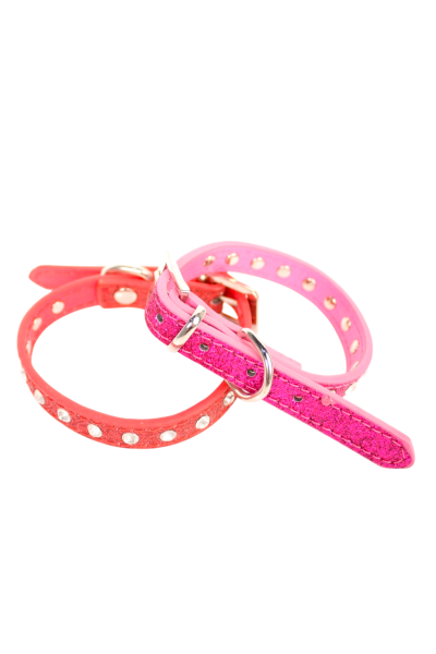 Cat Collars