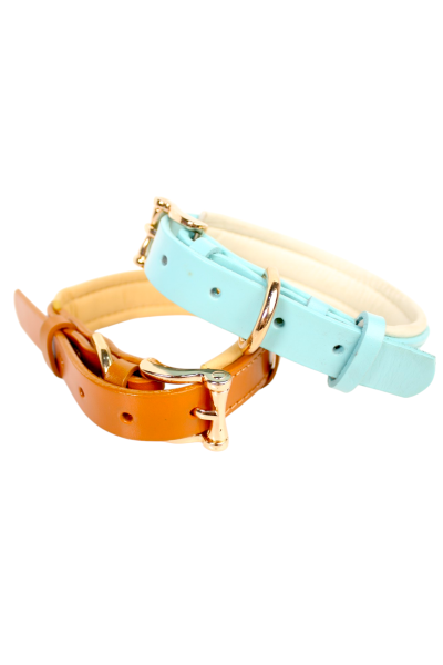 Cat Collars