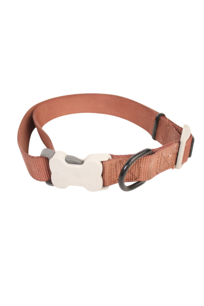 Cat Collars