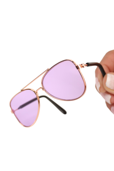 Cat and dog sunglasses