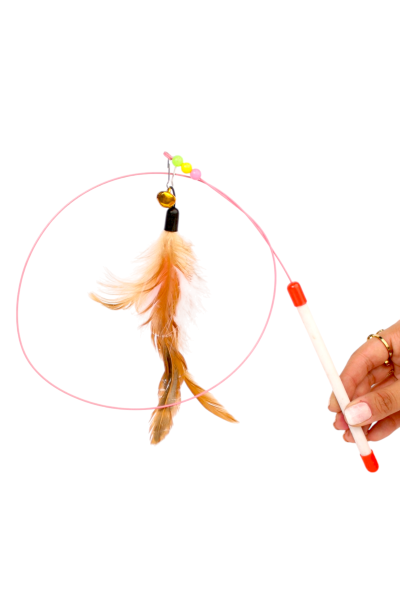 1pcs Feather Cat Toy with Bell