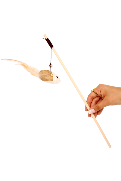 1pcs Feather Cat Toy with Bell