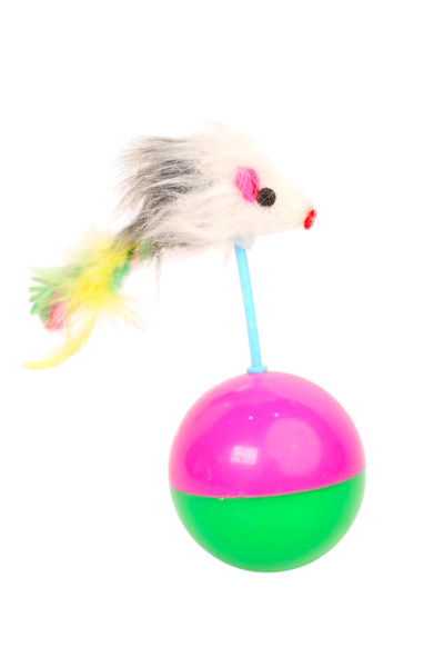 Pet Cat Play Ball