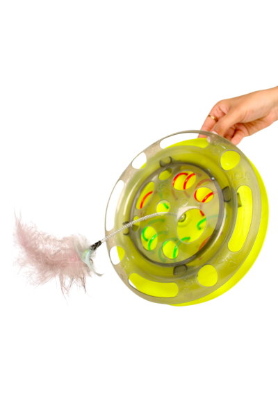 Cat Toys for Indoor Cats