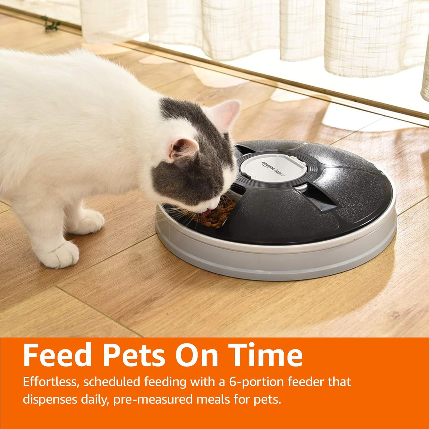 Amazon Basics Automatic Pet Feeder