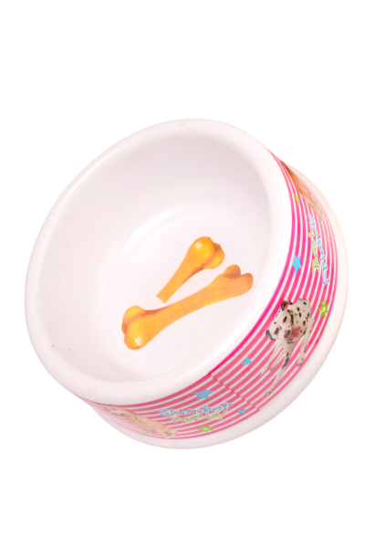Pet Bowl
