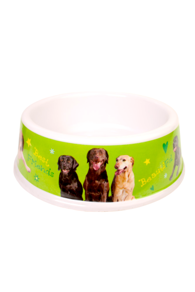 Pet Bowl