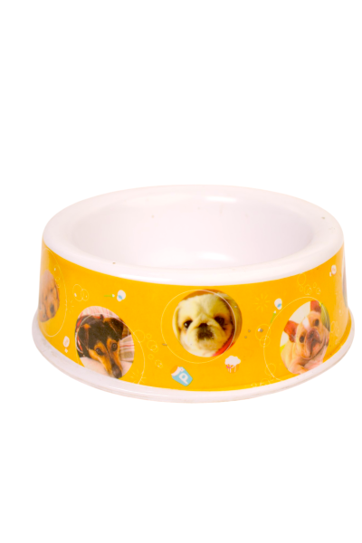 Pet Bowl