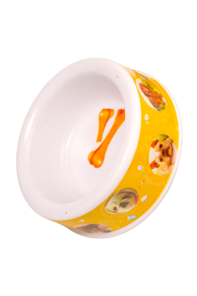 Pet Bowl