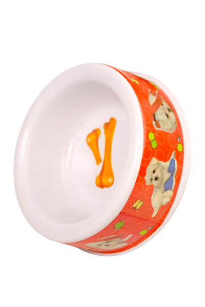 Pet Bowl