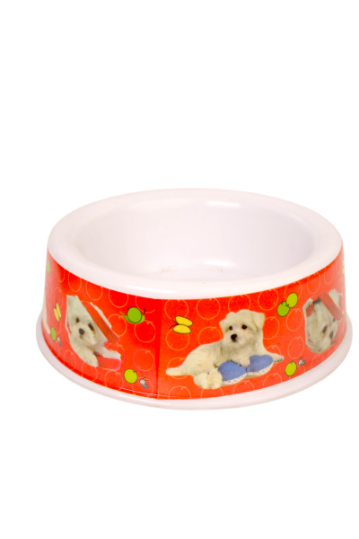 Pet Bowl