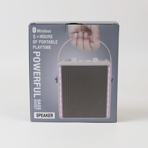 M81 Amplified High and Low Bass Speaker for Outdoor DJ Party with Wireless Microphone