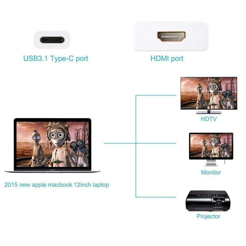 Type C to HDMI Adapter