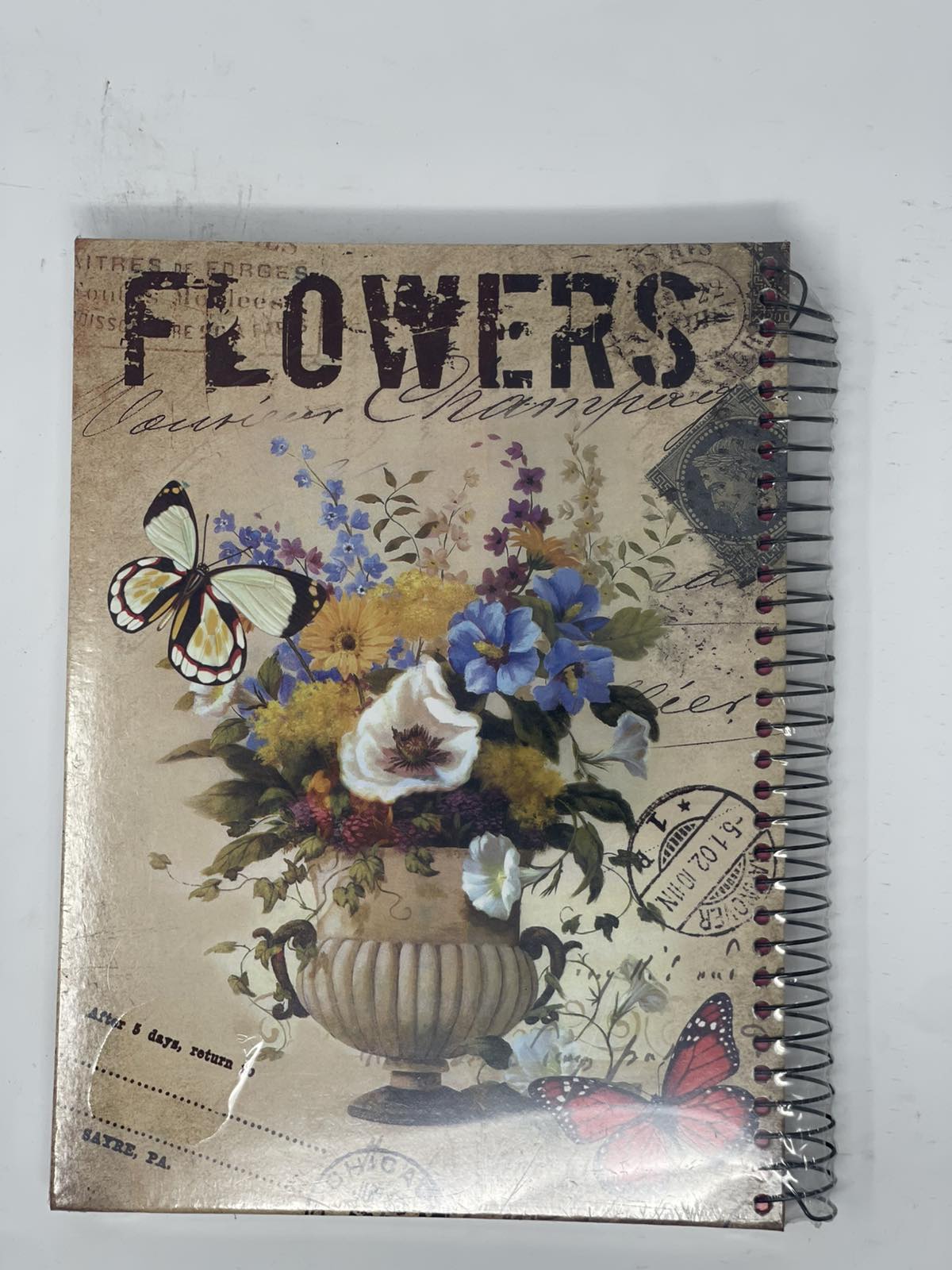 دفتر اليومية color option