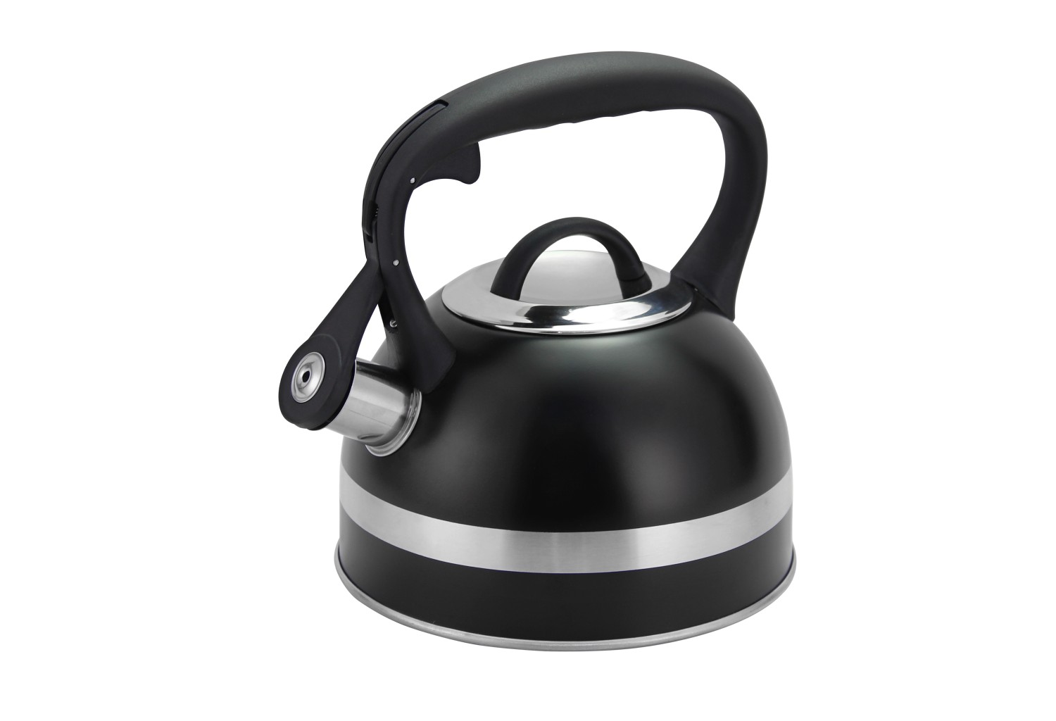 Stainless Steel Whistling Kettle