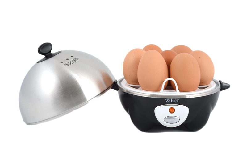 ئامێری کوڵاندنی هێلکەی ئۆتۆماتیکی لە زیلان