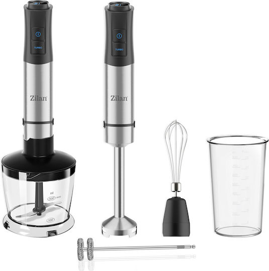 سێتی بڵەندەری دەستی لە زیلان