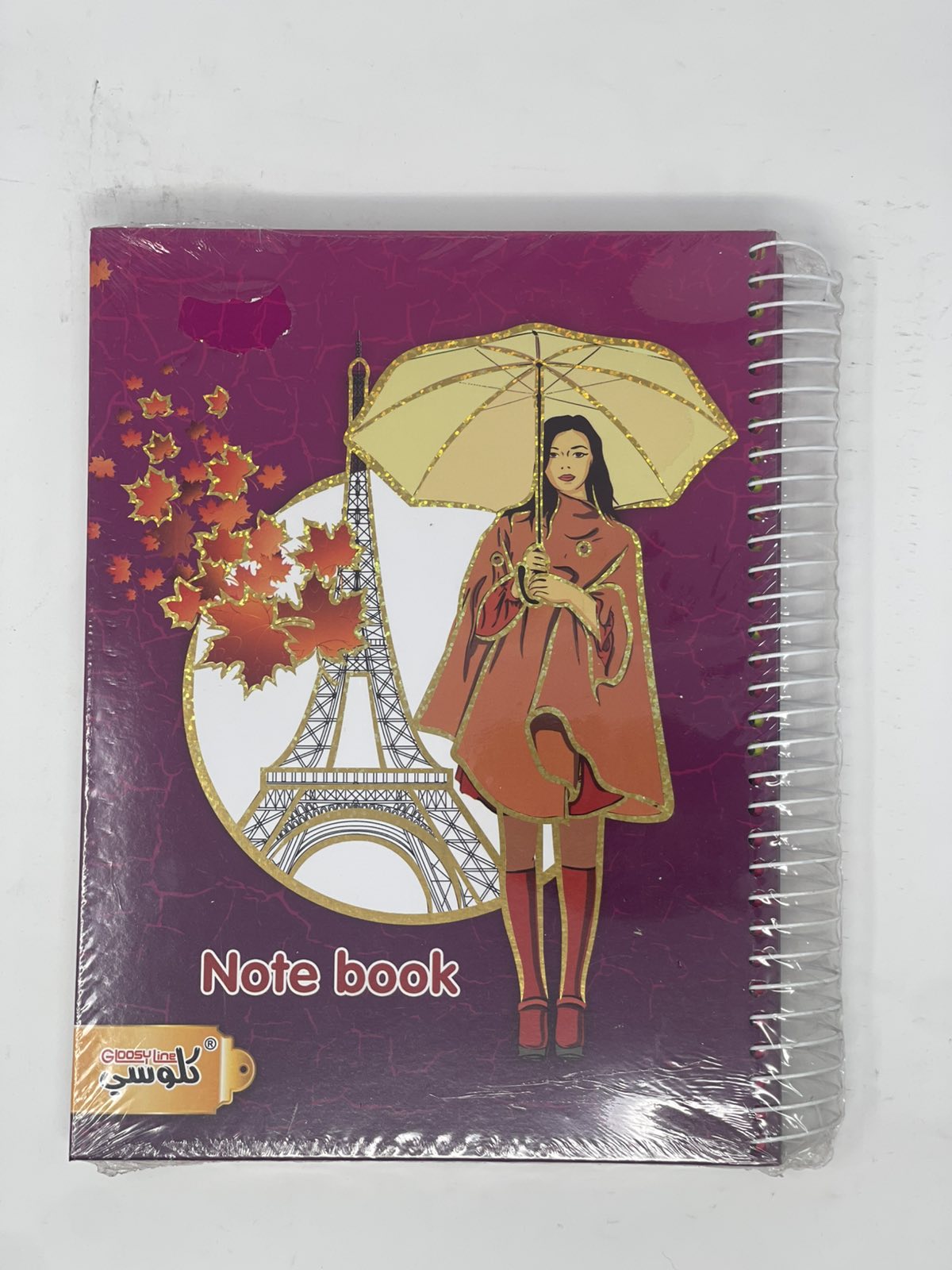 Daily Notebook 7 parts