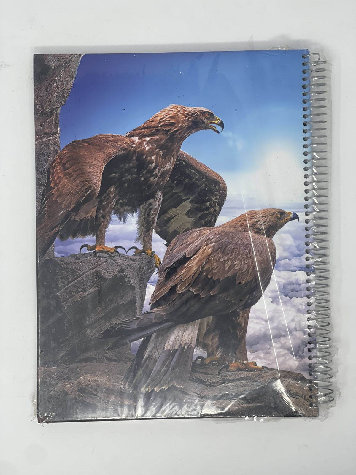 Daily Record Notebook – 100 page – A4 (kurdish)