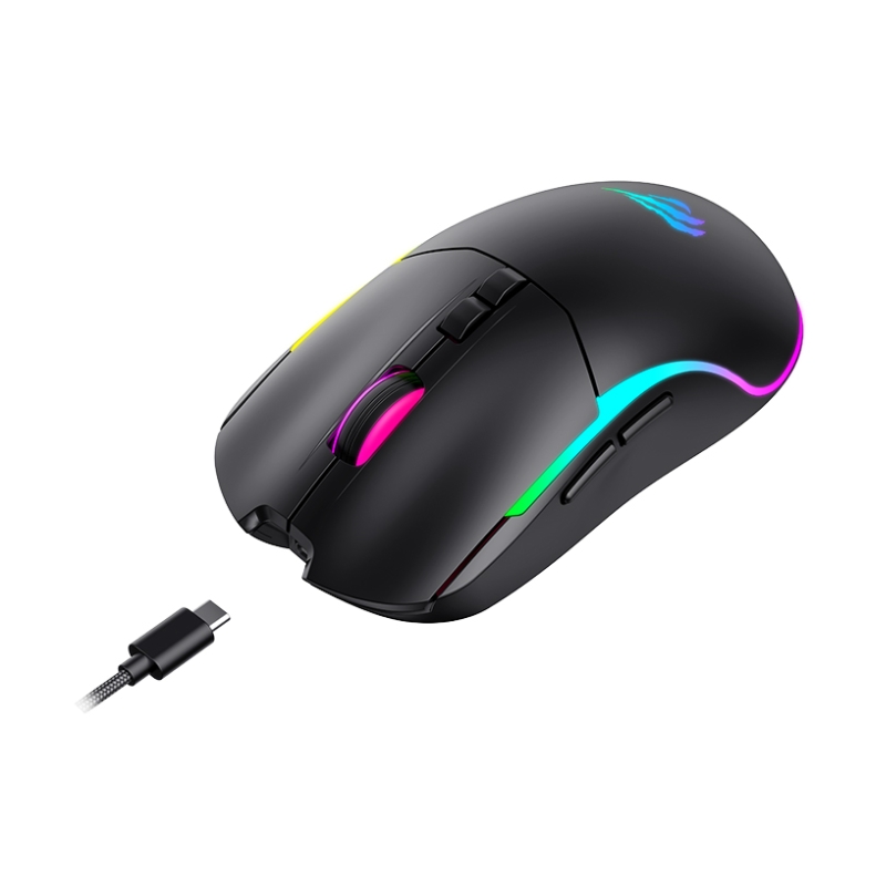 Havit MS1020WB Wireless Gaming Mouse