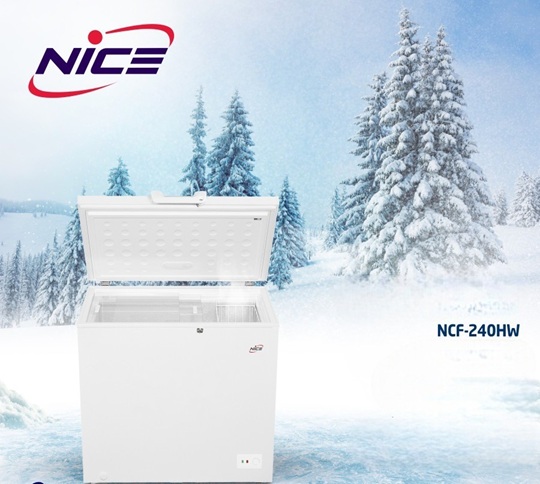 Nice 10 cu ft ChestFreezer