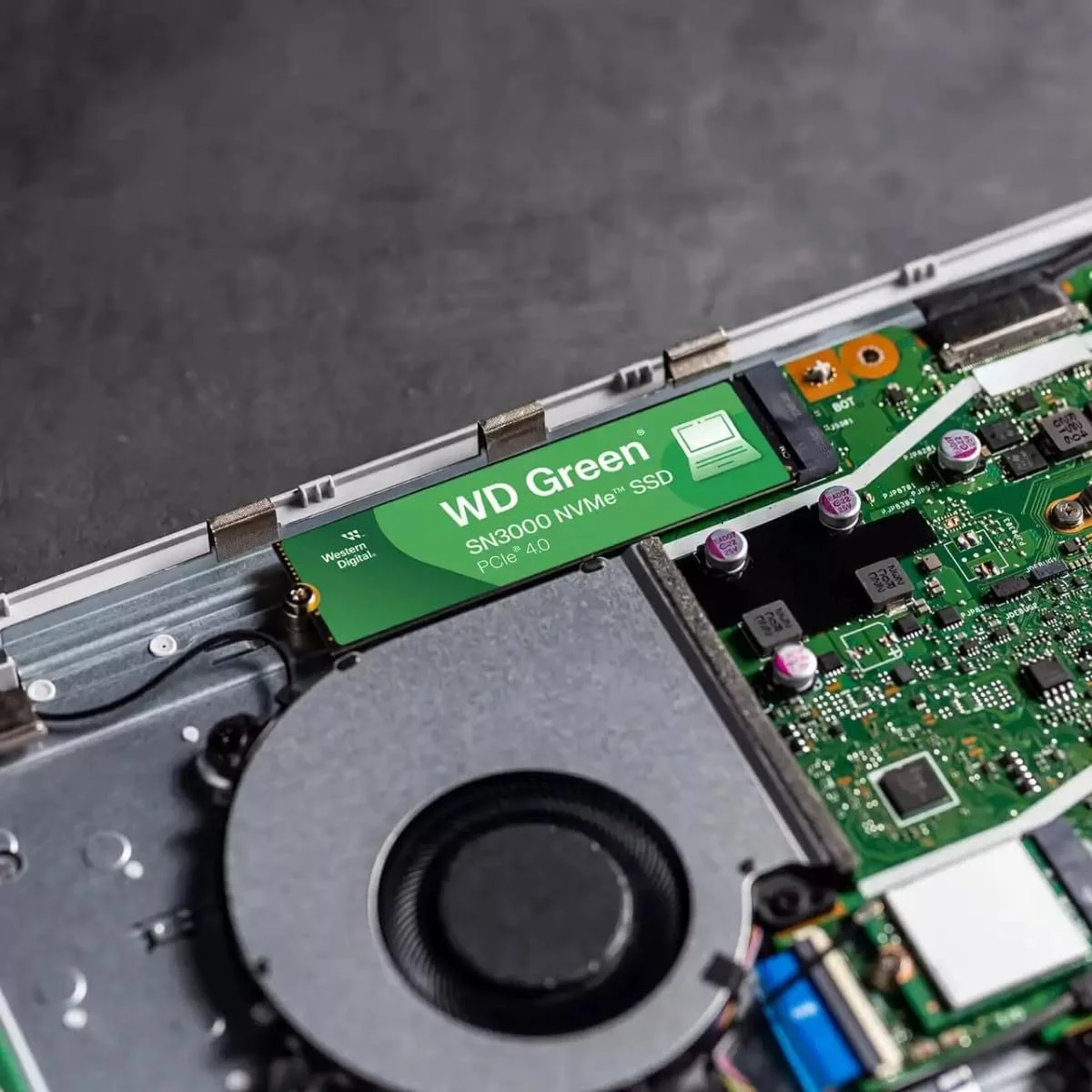 Western Digital Green SN3000 1TB NVMe SSD